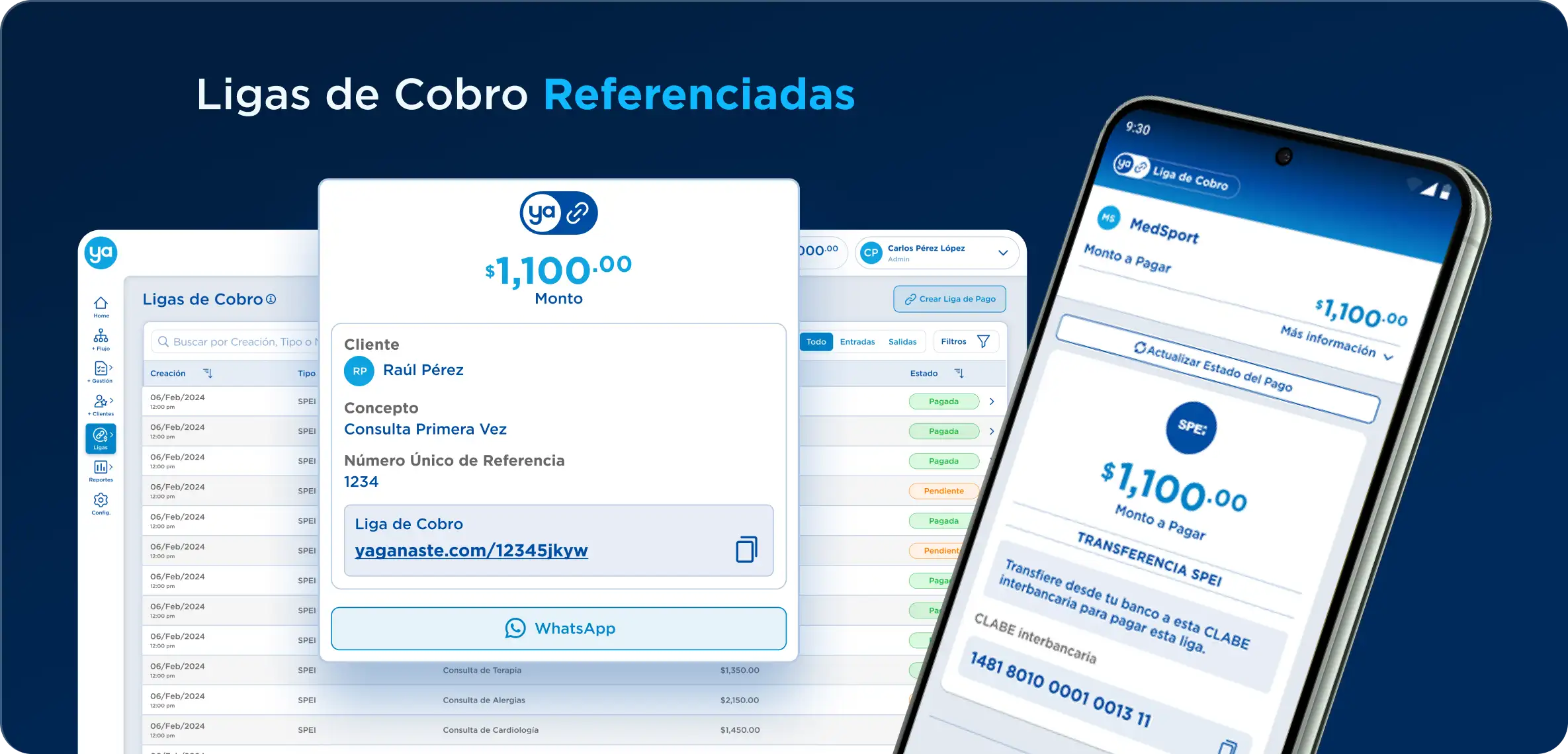 Ligas de Cobro Referenciadas